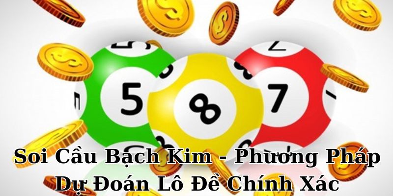 Soi Cầu Bạch Kim